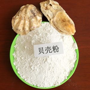超白贝壳粉 干燥剂用煅烧牡蛎壳粉吸附性好高钙饲料级贝壳粉一斤