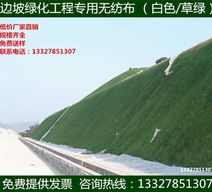 草籽草坪绿化无纺布 土工布 布料 护坡材料-护坡草坪专用无纺布