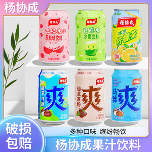 新日期杨协成风味果粒果汁饮料马蹄爽水果饮品低糖多口味300ml罐