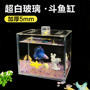 泰国斗鱼专用缸小型迷你超白玻璃缸半月巨斗创意造景宿舍桌面鱼缸