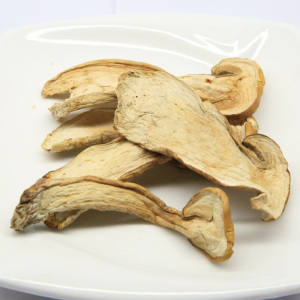 东北特产野生大脚菇大腿蘑菇干美味牛肝菌野生蘑菇大脚菌大兴安岭