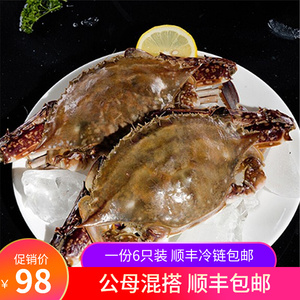 梭子蟹新鲜冰鲜急冻特大螃蟹肉蟹公蟹母蟹白蟹飞蟹海鲜水产顺丰