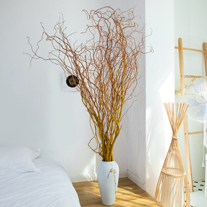 金龙柳德国进口鲜切枝条水培植物上海鲜花速递同城七夕顺丰包邮