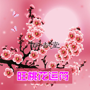 招桃花旺姻缘男符