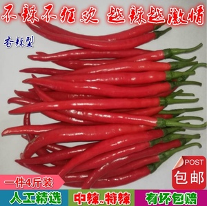 新鲜辣椒线椒特香辣秦椒二荆条红线椒杭椒包邮自产现摘有机无公害