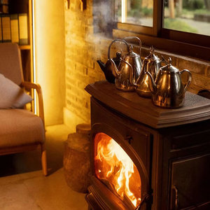 烧柴壁炉烧水燃木真火多功能取暖炉耐高温玻璃门家用室内铸铁装饰