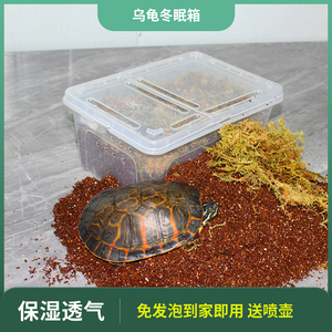 小乌龟草龟巴西鳄龟爬宠盒用品过冬眠保温饲养箱椰土蛭石苔藓沙土
