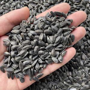 生小黑瓜子 葵花籽 油葵 颗粒饱满 鸟粮鸽粮 25kg 50斤河南包邮