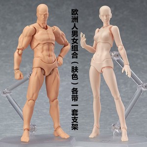 figma素体美术人体模型玩具日本人偶关节可动成人绘画肌肉shf素体