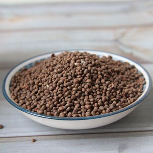 中药材 急性子 风仙花子指甲花子金凤花子 凤仙籽 金凤花籽 500克