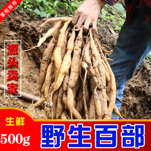 百部酊中药
