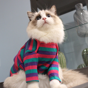 ins布偶衣服小狗狗奶猫咪爱心条纹四脚衣无毛猫防掉毛英短美短bf