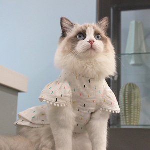 ins可爱布偶抖音网红同款衣服棉质弹力透气点点裙子公主裙猫咪狗