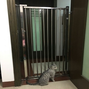 护栏门不锈钢
