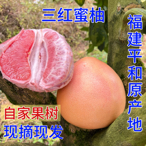 三红蜜柚正宗福建管溪水果平和红心柚子红肉蜜柚10斤礼盒装沙田柚