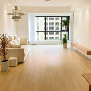 瓷砖地砖防滑客厅