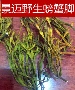 景迈特级野生螃蟹脚茶叶 古树茶 普洱 散茶 生茶 特价促销500克