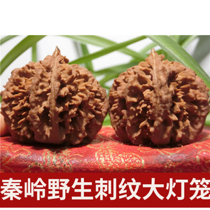 文玩核桃野生秦岭大灯笼 收藏级陕西多刺深纹狮子头山核桃