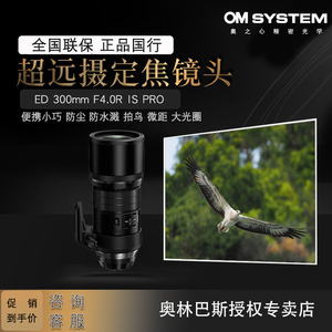 Olympus/奥林巴斯ED 300mm F4.0R IS PRO超远摄定焦镜头防抖 拍鸟