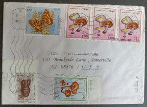 阿尔及利亚1996年蝴蝶邮票实寄封贴多枚邮票rc