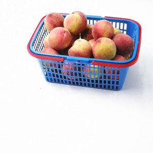 方形杨梅草莓手提筐水果篮子有盖砂糖橘塑料包装篮葡萄蘑菇采摘筐