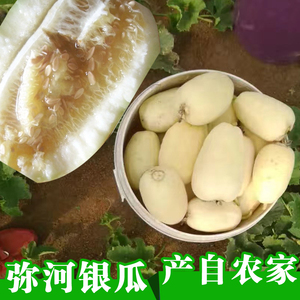 山东青州弥河银瓜甜瓜香瓜非绿宝甜瓜新鲜水果现摘发顺丰包邮五斤