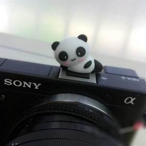 佳能200D 200DII 二代单反相机小熊猫热靴盖 EOS相机闪光灯防尘盖
