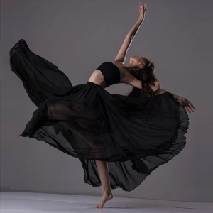 古典舞演出服女半身长裙大摆裙套装中国风现代跳舞芭蕾舞蹈练功服