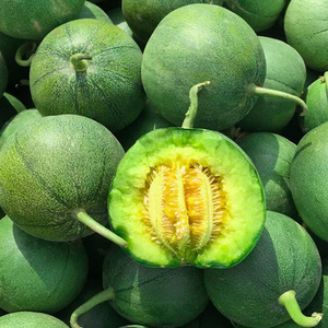 绿宝甜瓜小香瓜新鲜包邮爱心绿宝石当季吃货整箱10号5斤水果包邮