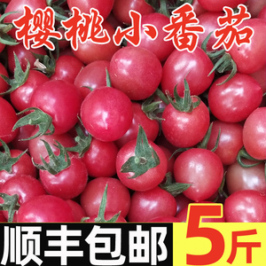 圣女果西红柿小番茄新鲜水果千禧樱桃柿子生吃自然熟蔬菜包邮5斤