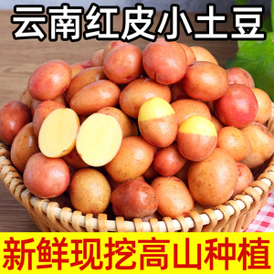 红皮土豆新鲜10斤马铃薯蔬菜云南红皮小洋芋大批发黄心土豆5包邮