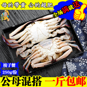 连云港水产公母蟹带黄野生梭子蟹鲜活海鲜新鲜大螃蟹一斤2只包邮