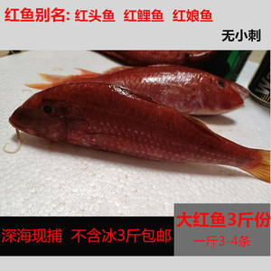 00同款货源13211327654sheng淘宝北海特产淡晒小鳗鱼干250g油鳗鱼