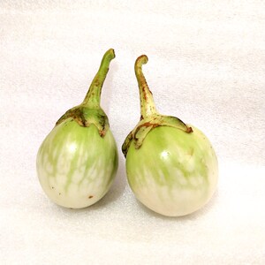 新鲜圆茄100g泰国美食圆茄 新鲜小圆茄100克北京发货