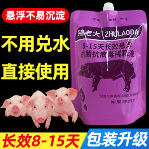长效猪用稀释液种猪营养液猪精精子保存剂公猪人工授精耗材猪精液
