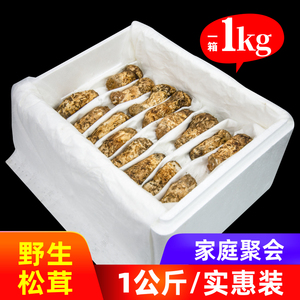 现货【 6-8厘米】1000g 新鲜松茸2024东北长白山吉林延边延吉发货