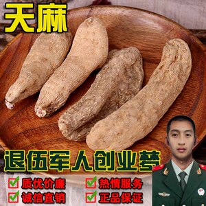 云南昭通小草坝野生天麻500g 可切天麻片磨天麻粉 胜长白山