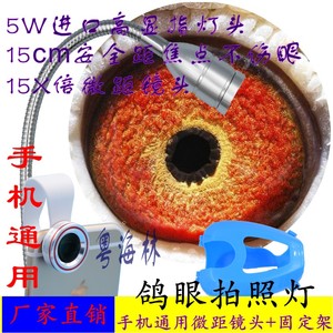 鸽眼放大镜15倍多重放大鸽子用品用具灯高清包邮照 鸽眼拍摄神器