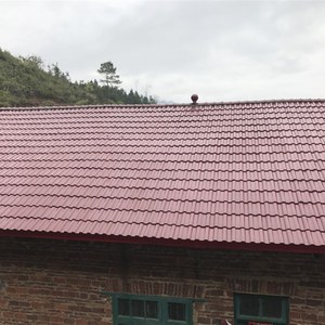 帝隆仿古房顶陶瓷琉璃瓦片水泥屋面新中式西瓦现代r别墅屋顶瓦连