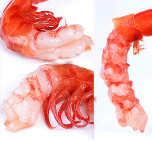 鲜活海捕红魔虾西班牙新鲜进口刺身深海特大莫桑比克红虾八只装
