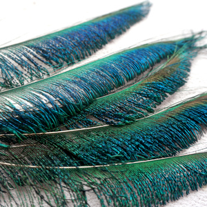 mefimelly淘宝包邮天然孔雀羽毛花瓶摆件客厅装饰大眼孔雀翎真羽毛