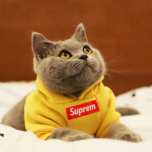 宠物衣服猫咪卫衣潮牌sup春秋薄绒泰迪女法斗幼犬小型犬狗狗衣服