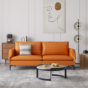 北欧轻奢真皮沙发意式现代简约皮艺小户型沙发爱马仕橙色日式组合