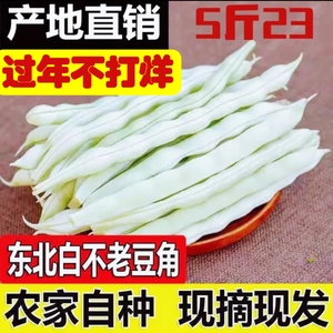 山东白芸豆新鲜豆角现摘5斤净重芸豆整箱农家正宗白不老芸豆蔬菜