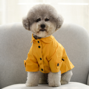 小泰迪狗的衣服冬装