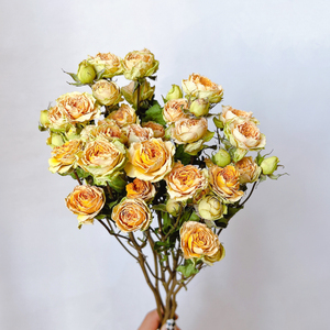 多头玫瑰干花花束蔷薇泡泡天然真花客厅家居插花装饰摆件送人礼物