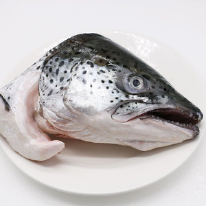 御鲜轩 智利冰鲜三文鱼头新鲜鱼头500-600g烧烤 炖汤海鱼海鲜水产