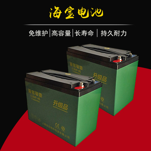 电动车二轮三轮车电池电摩车货运车电瓶12v蓄电池48v60v45ah海宝