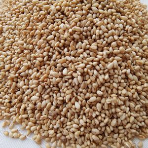 4元/斤5斤老火带皮白芝麻食用河北免洗芝麻酱专用专营店