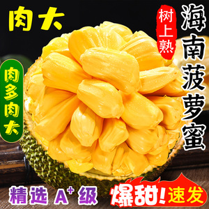 海南新鲜菠萝蜜一整个包邮三亚特产红黄心黄肉波罗蜜当季营养水果